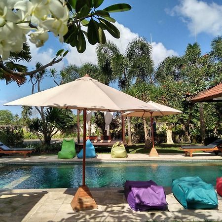 Premier Surf Camp Hotel Canggu Exterior foto